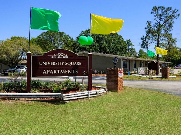 2900 University Square Dr APT 19