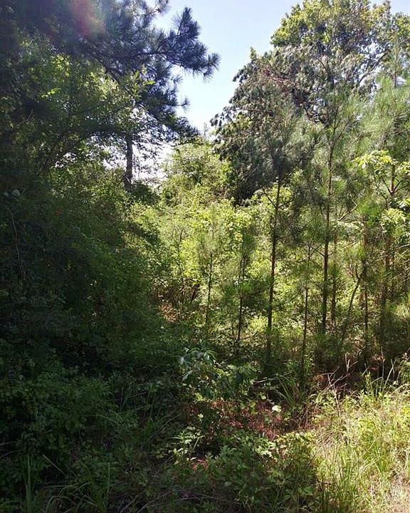 2nd image of Deerwood Dr