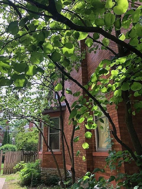 2nd image of 49 E Oakland Ave