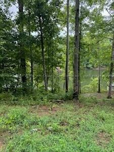 LOT 10 Northpointe Dr, Arley, AL, 35541