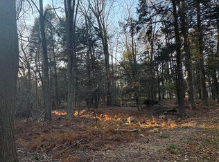 1 Saphire Ct, Newfoundland, PA 18445