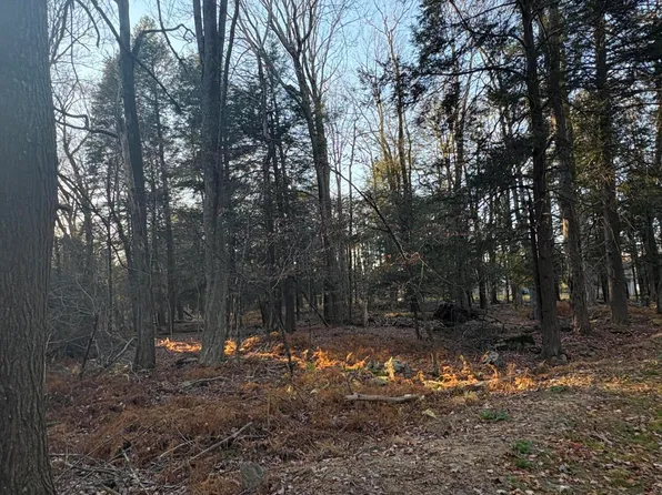 1 Saphire Ct, Newfoundland, PA 18445