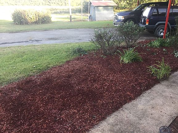 North side / carport