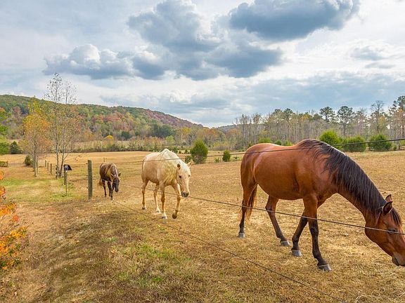 460 No Pone Valley RD NW HD-30