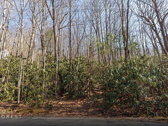 2nd image of Lot 72 Black Oak Drive