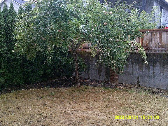 5th image of 4967 NW Lavender Cir