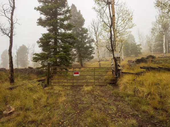 210 Kebler Trl, Powderhorn, CO 81243
