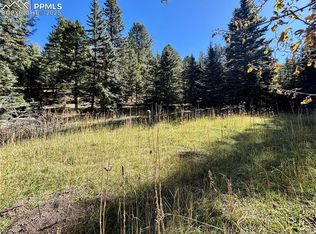 12301 Black Hawk Trl, Conifer, CO 80433