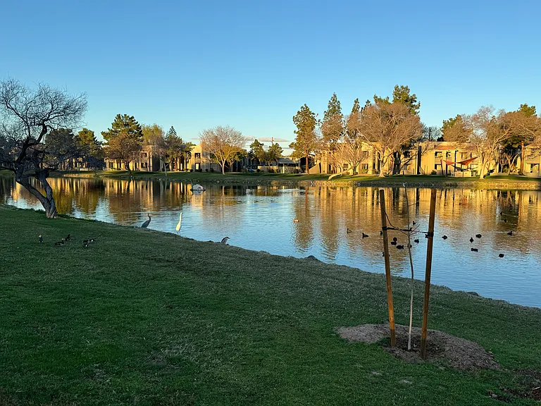 Nearby Gila Springs Park and Pond