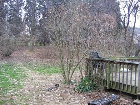 2nd image of 1407 Cherokee Ln