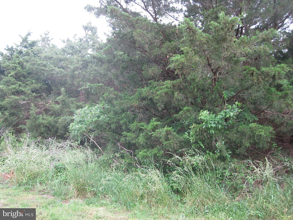 2nd image of 107 Blue Heron Dr