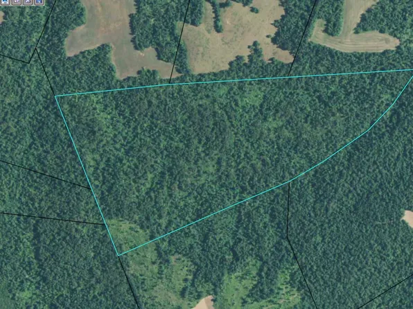 0 Cannon Rd, Princeton, KY 42445
