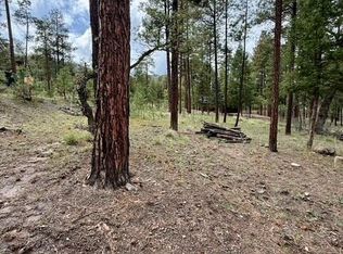 7 Eric Ln #28, Alpine, AZ 85920