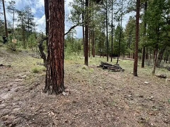 7 Eric Lane #28, Alpine, AZ 85920