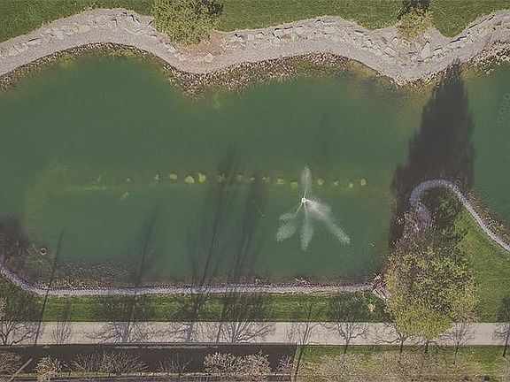 Overhead of Pond
