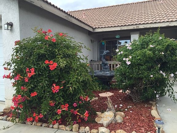 front yard and porch