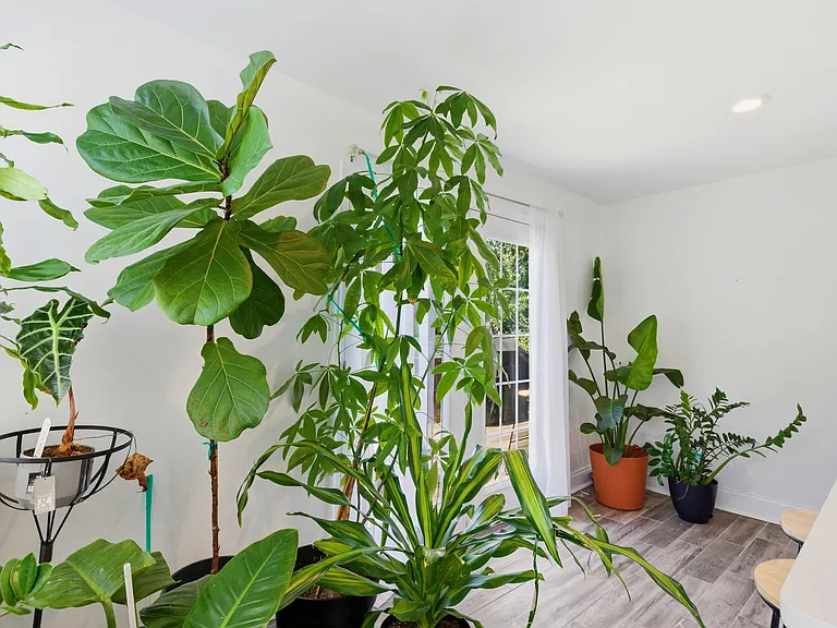 4318 Lawrence St — Photo 11