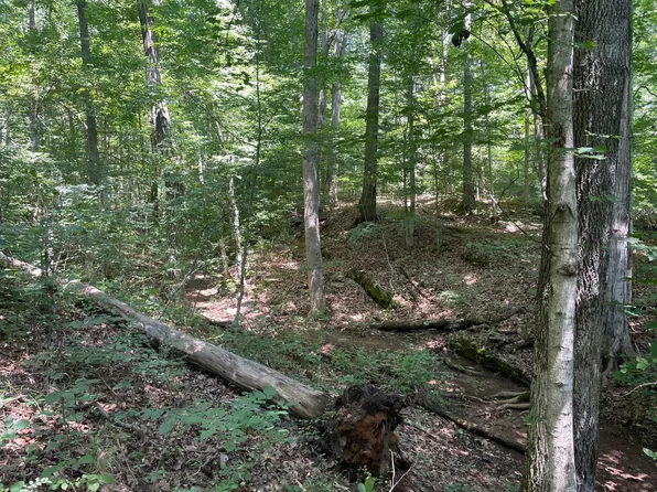 0 Wert Faulkner Hwy, Natural Bridge Station, VA 24579