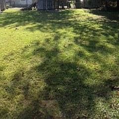 2nd image of 703 Walton St
