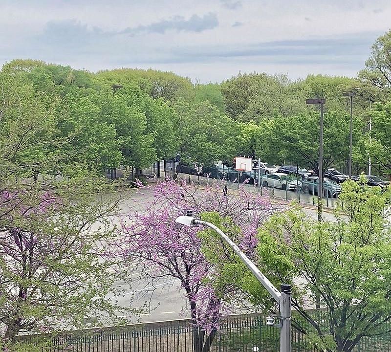 1st image of 448 W 167th St APT 4E