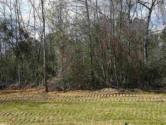 5th image of LOT 18 Crossing Ct