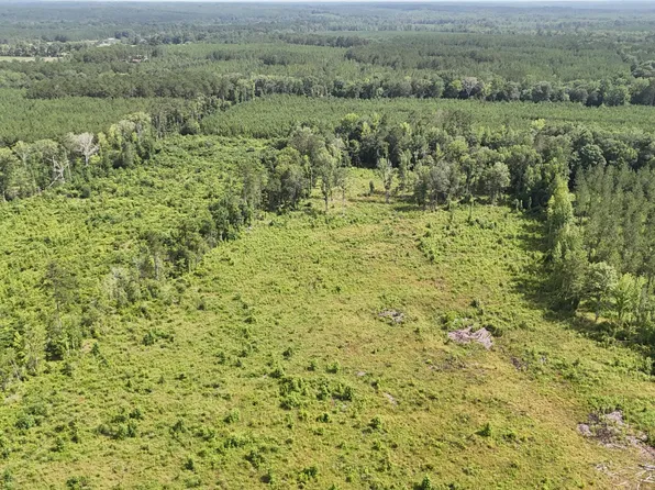 Nola Rd, Sontag, MS 39665