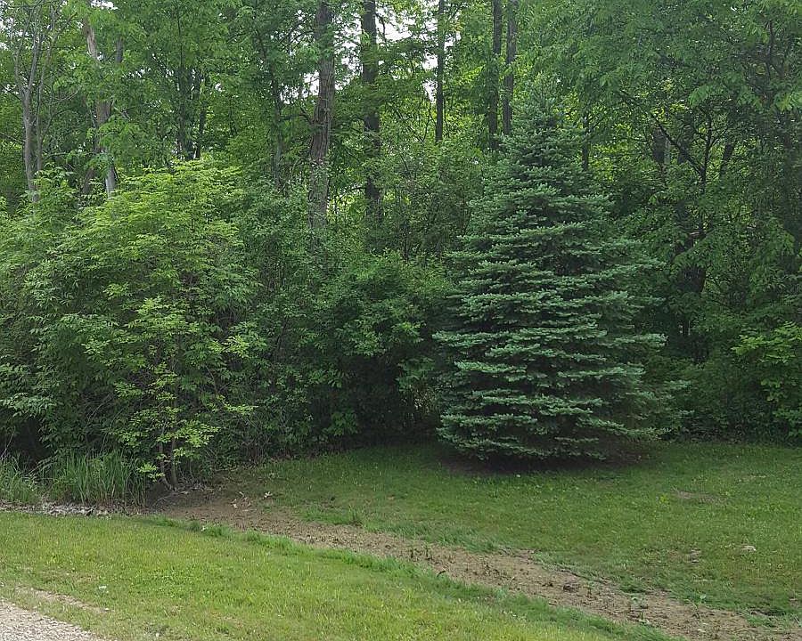 1st image of 61511 Cetnor Ct