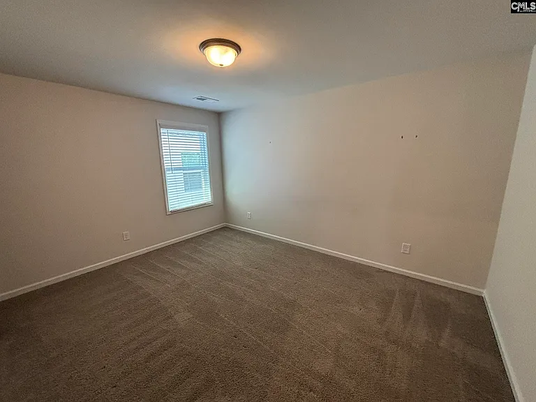424 Lady Liberty Way — Photo 18