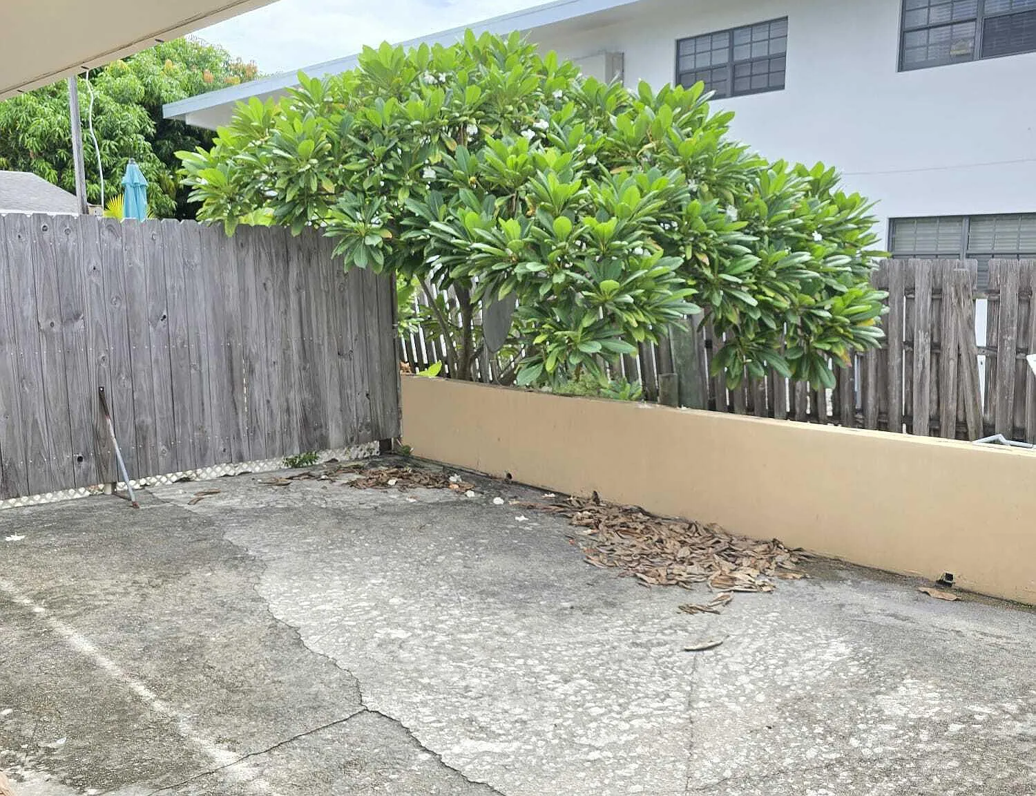 2 bed, 1.0 bath, 900 sqft, $1,700 — Photo 4