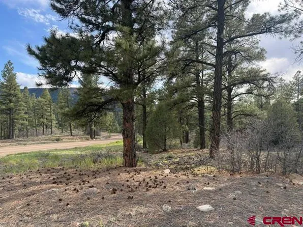 596 Ginger Circle, Pagosa Springs, CO 81147