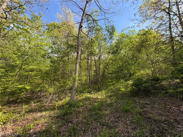 Township Road 290, Coshocton, OH 43812