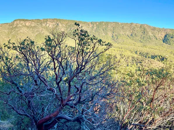 132 N Knob Hl, Pine, AZ 85544
