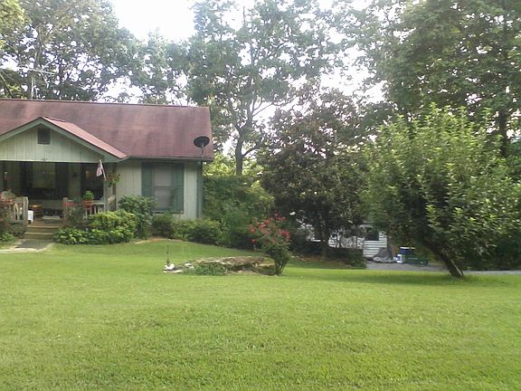 Right side and apple tree