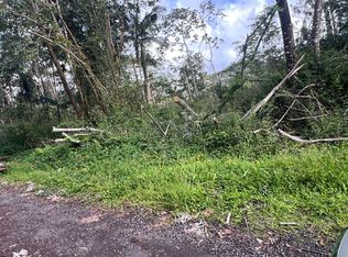 Molokai Rd Lot 600, Pahoa, HI 96778