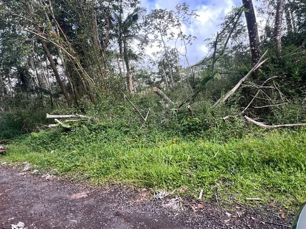 Molokai Rd Lot 600, Pahoa, HI 96778