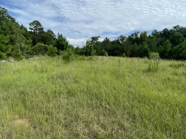 1041 Clint Williams Road, Lincolnton, GA