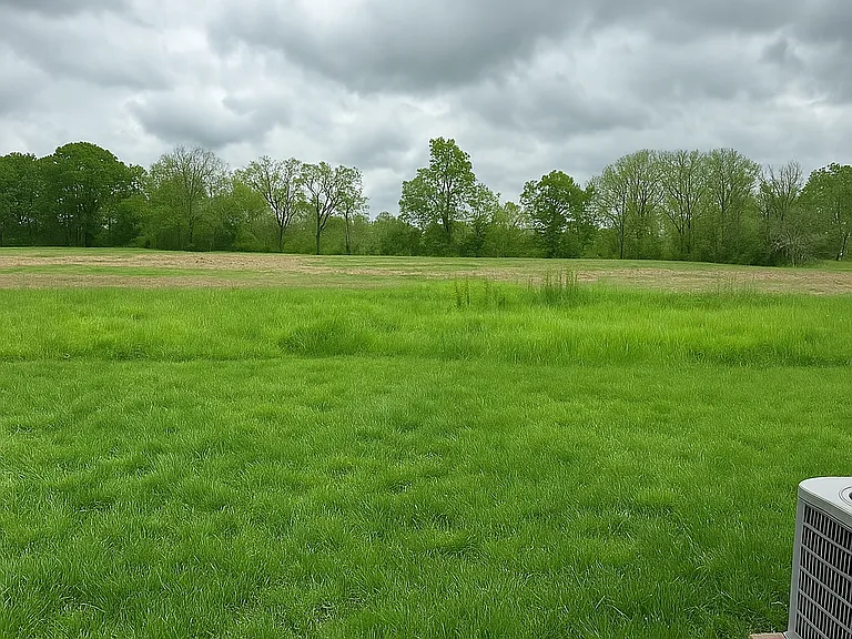 Enjoy a relaxing view of this beautiful field, right outside of your bedroom window!