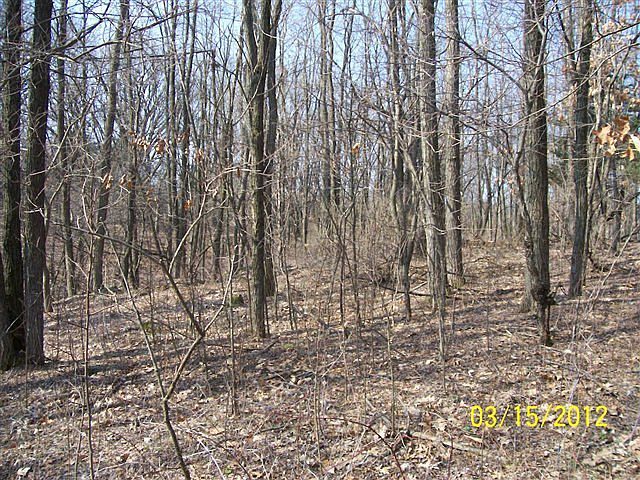 2nd image of 0 Stomner Dr