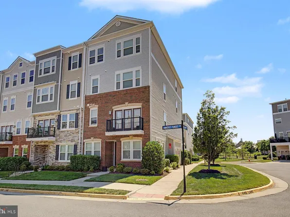 24498 Amherst Forest Ter, Aldie, VA 20105