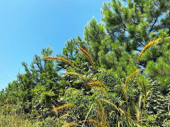 5th image of 1 Carters Ferry Rd E