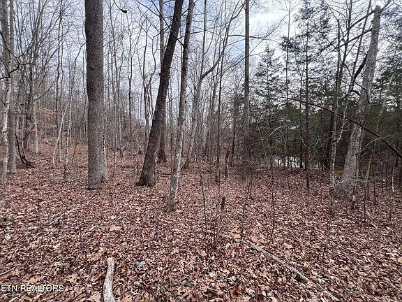 3rd image of 0 Buffalo Cove Rd