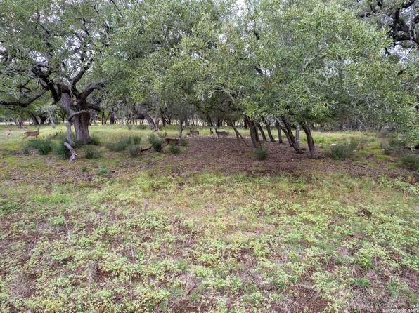 95 Palomino Springs LOT 95, Bandera, TX 78003