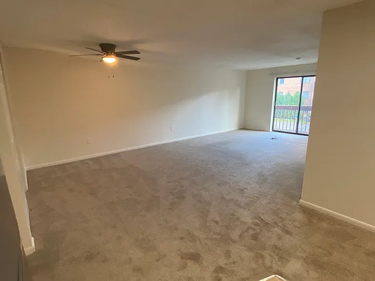 1217 Harbor View Dr #1217 — Photo 10
