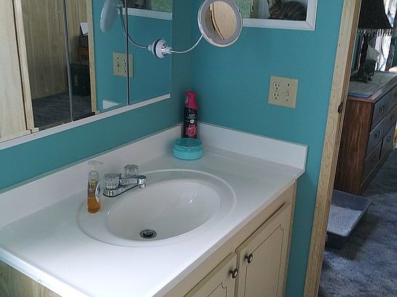 Master bath, walk in shower.