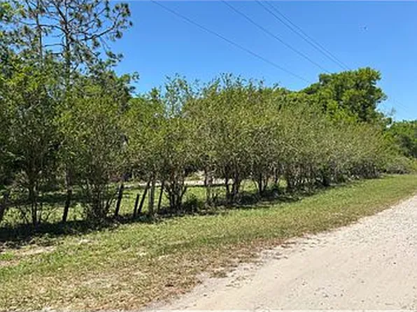 4706 County Road 683, Webster, FL 33597