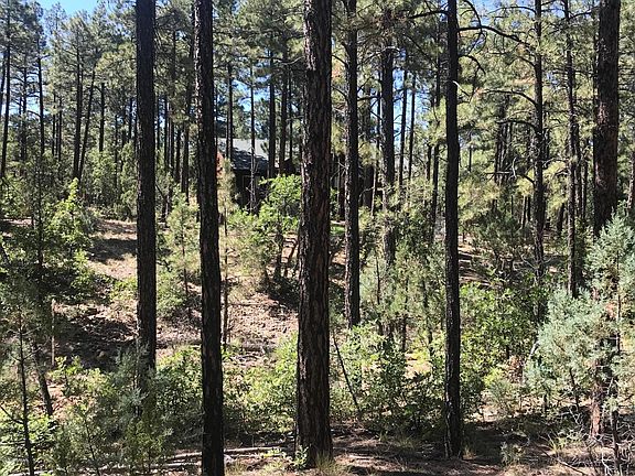 3rd image of 1710 S Sierra Pines Cir