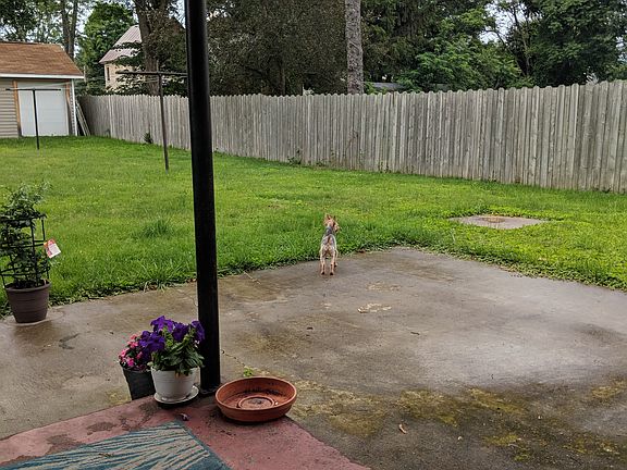 Backyard (w/ small dog)