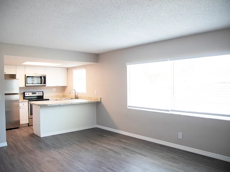 Living room/Kitchen