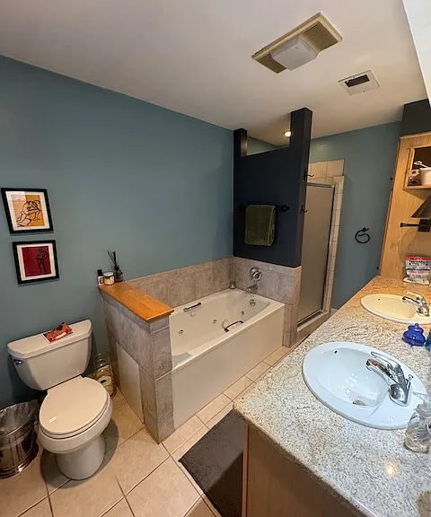 Main Bath on main level, 2 sinks, shower and jacuzzi tub
