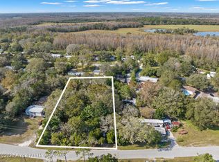 7443 Moffitt Rd, Land O Lakes, FL 34638